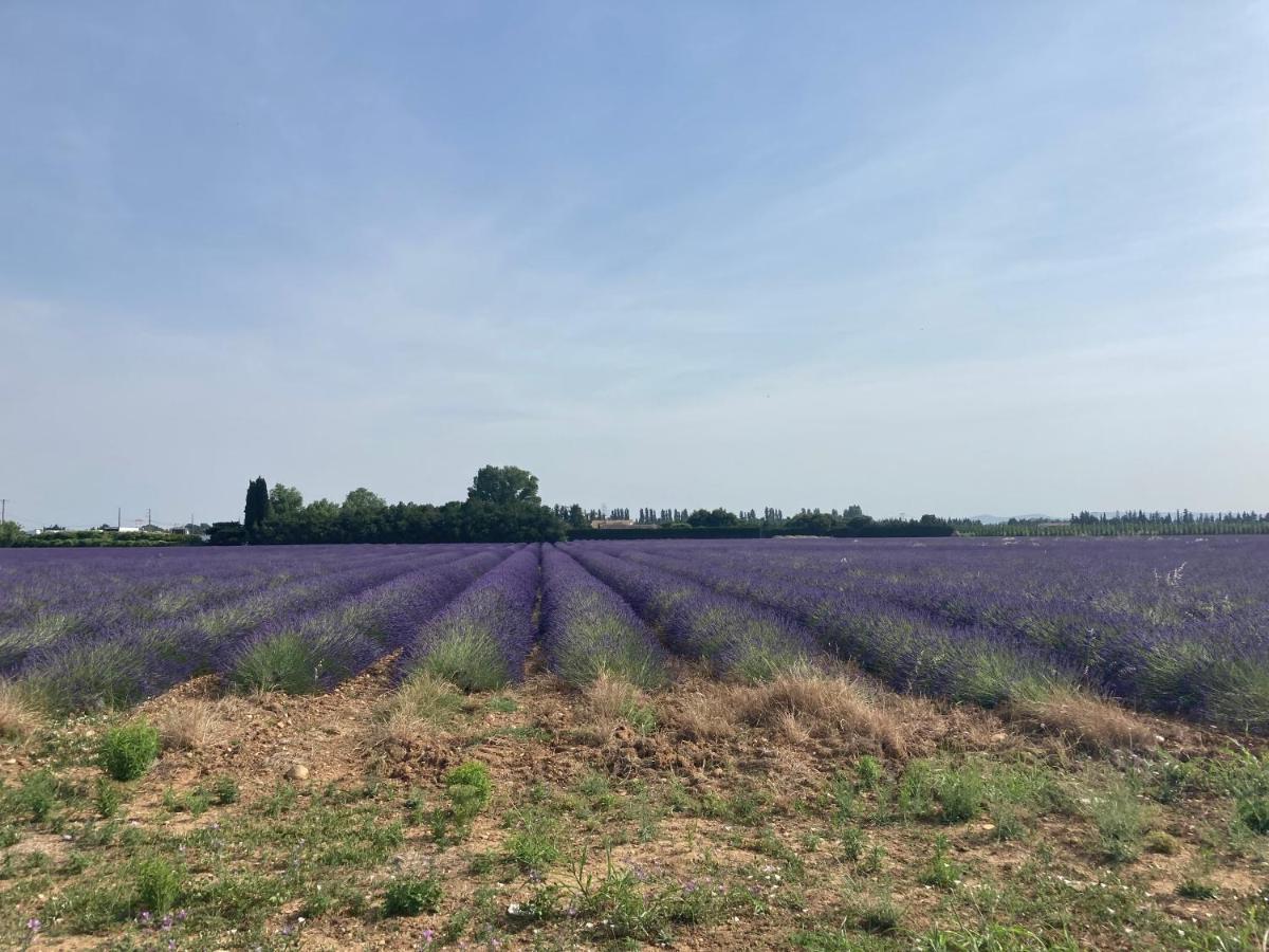 La Petite Maison En Pierres Gras Kültér fotó